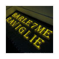 Outdoor Company 3D LED Letters Sign Exterior Wall Business Office Interior Signage Brushed Stainless Steel Letters